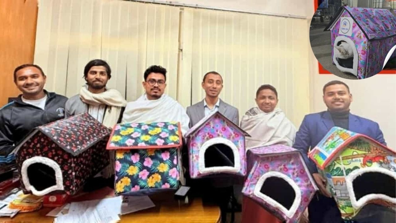 শীতে কষ্ট পাওয়া ঢাবির আবাসিক হলের বিড়ালদের শেল্টার বক্সের ব্যবস্থা ডাকসুর